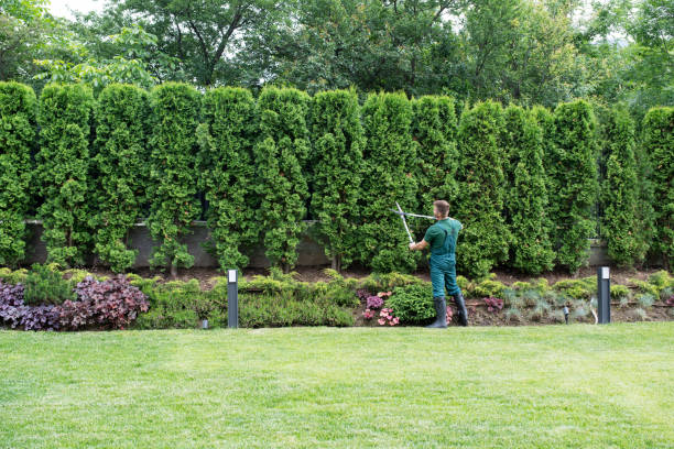 Best Arborist Consultation Services  in Kane, PA